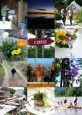 Ockelbo kommun
